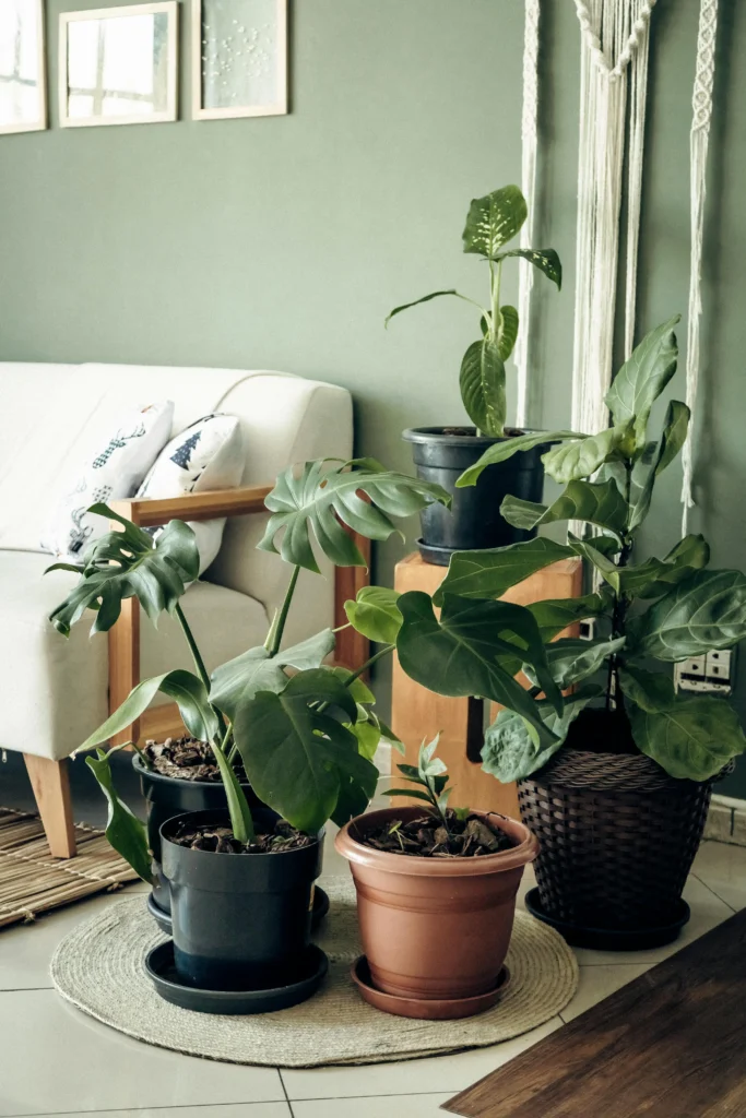 Minimalist Apartment Ideas That Make Small Space Look Bigger 12 Texture and Nature