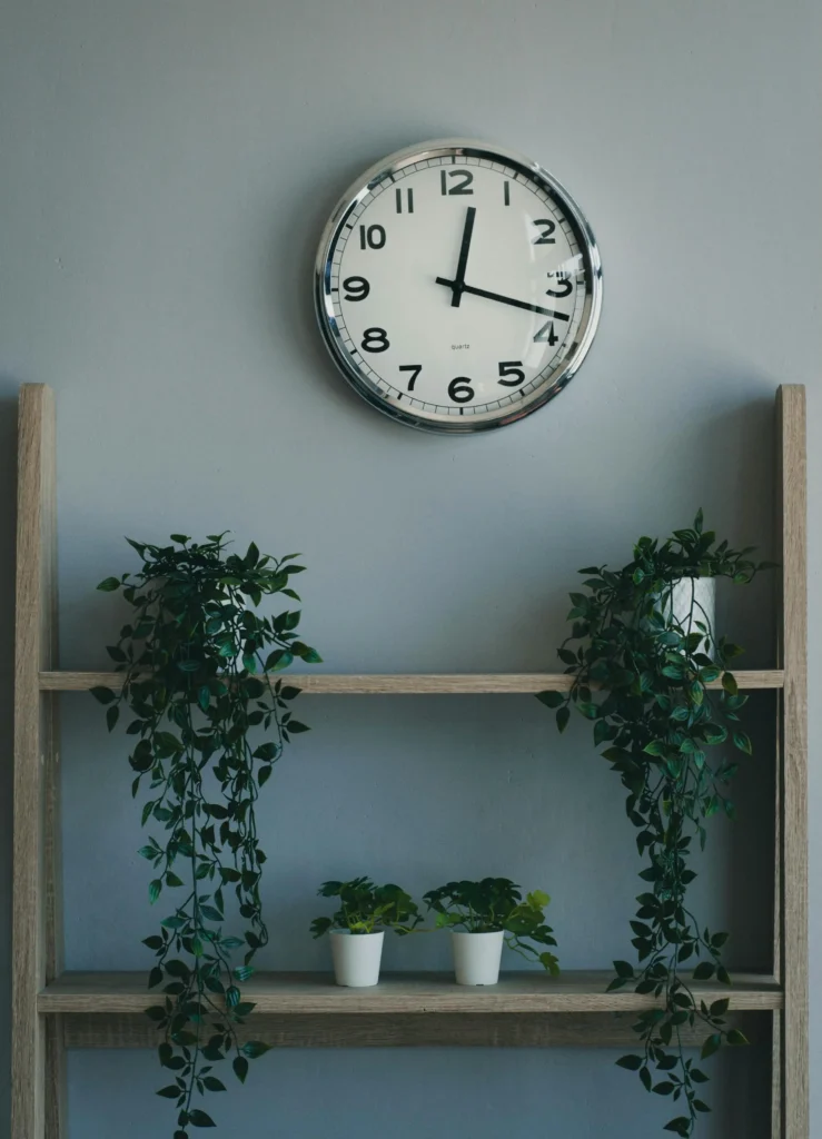 How to Style Shelves the Minimalist Way 2 Minimalist Way