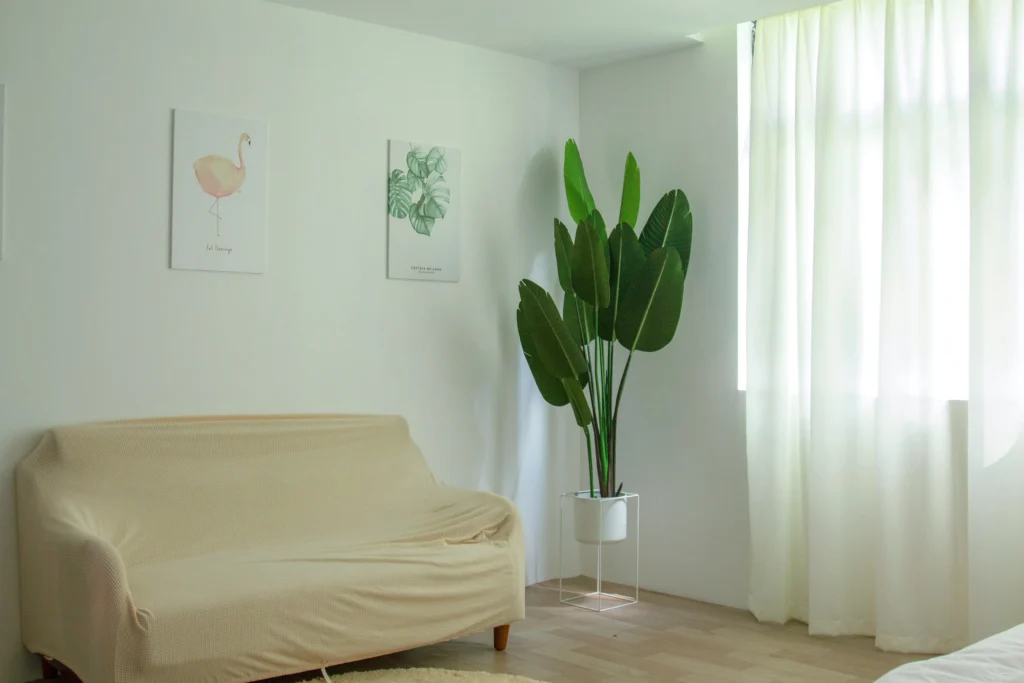 Minimalist Decor Ideas for a Compact Home | Pure Zen Decor 13 Greenery in Small Doses