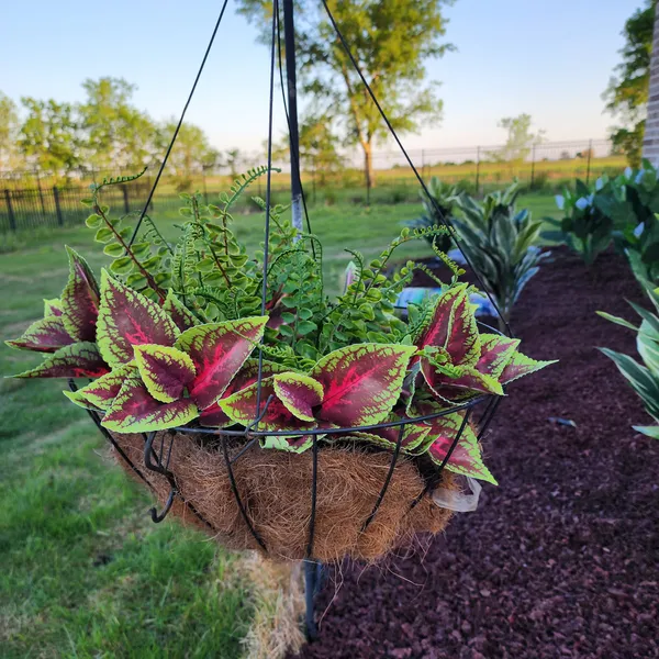 16 Green and Burgundy Bedroom Decor Ideas for Cozy Space 11 10 2