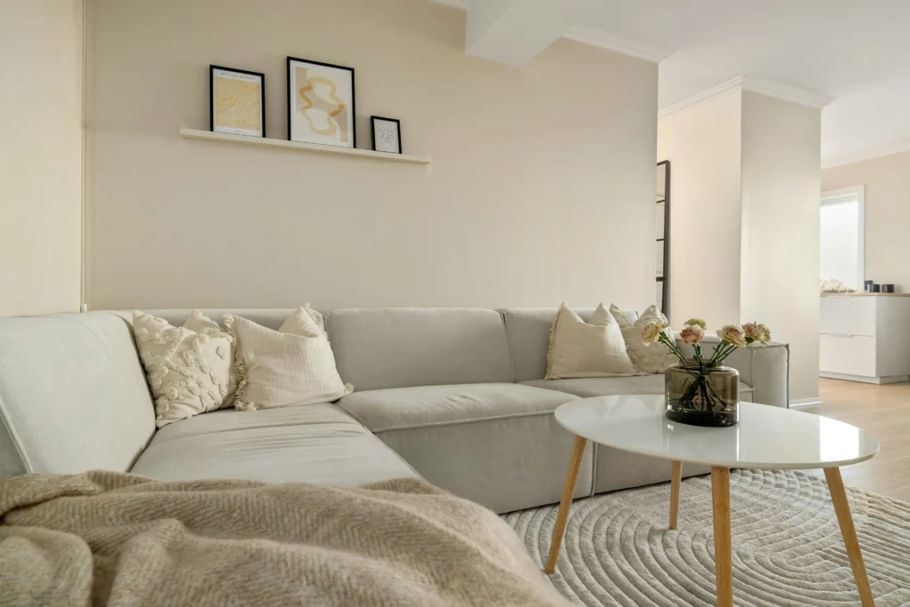 Minimalist Rugs That Transform Your Living Space 15 Modern Spaces