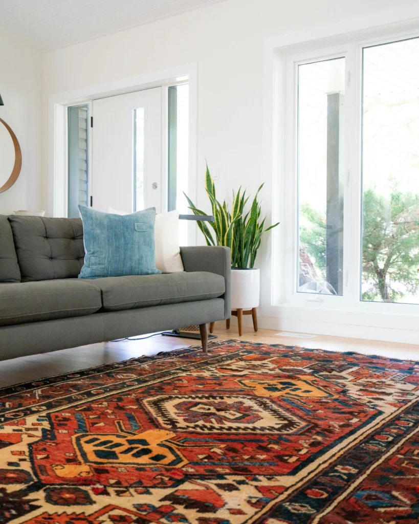 Minimalist Rugs That Transform Your Living Space 2 living room