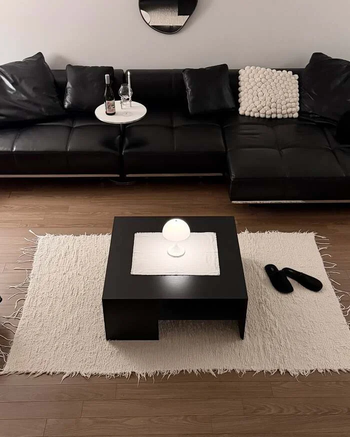 23 Chic Black And White Living Room Decor Simple Ideas 4 image 2