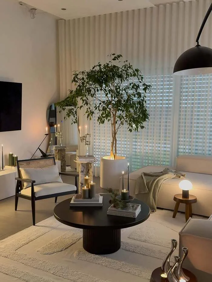 23 Chic Black And White Living Room Decor Simple Ideas 23 image 21