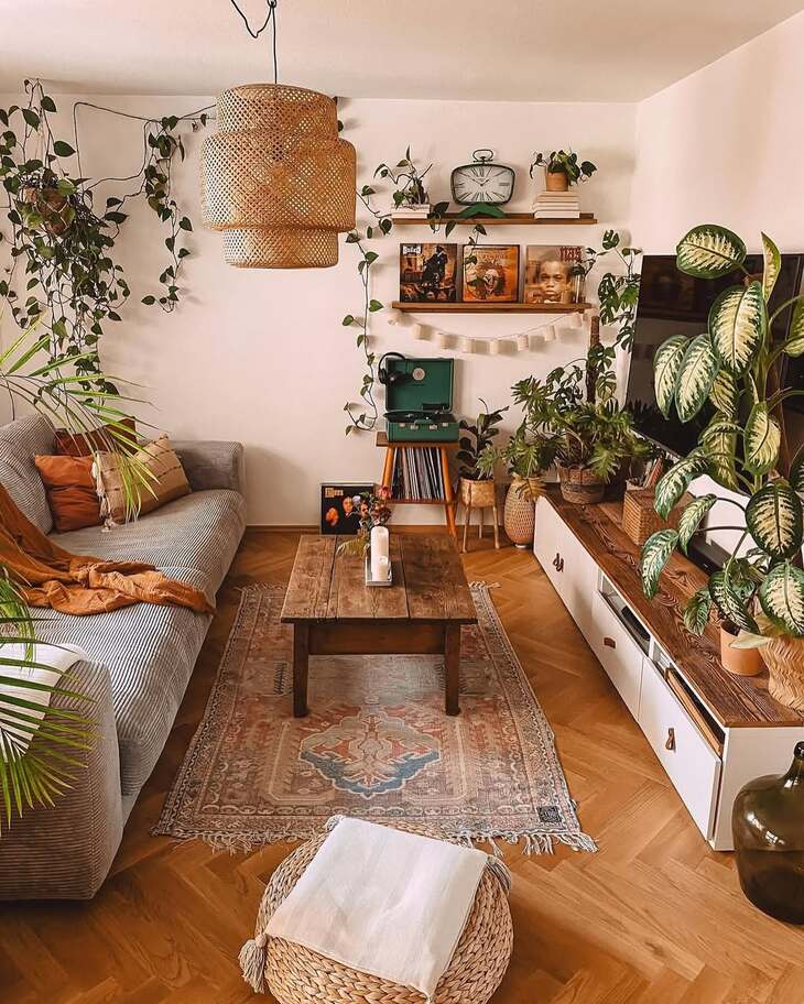 20 Best Plants Living Room That Thrive Indoors 2 image 615