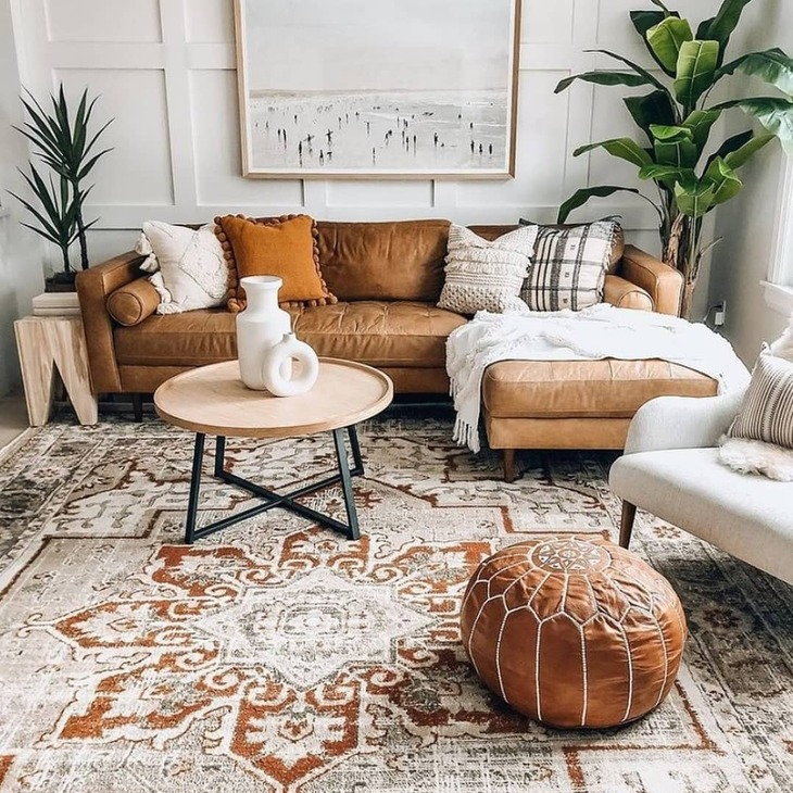 20 Best Plants Living Room That Thrive Indoors 3 image 616