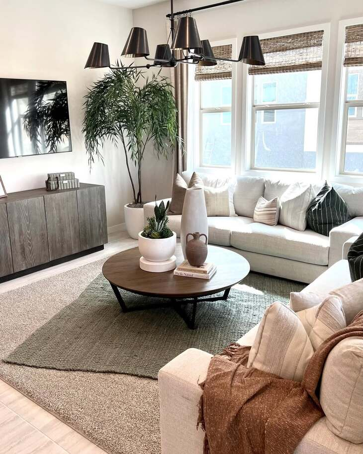 20 Best Plants Living Room That Thrive Indoors 4 image 617