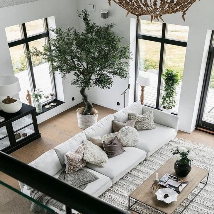 20 Best Plants Living Room That Thrive Indoors 6 image 619
