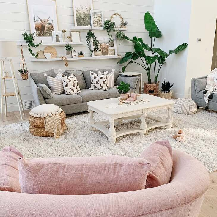 20 Best Plants Living Room That Thrive Indoors 9 image 622