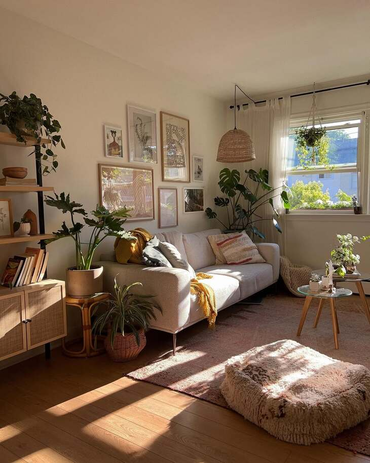 20 Best Plants Living Room That Thrive Indoors 10 image 623