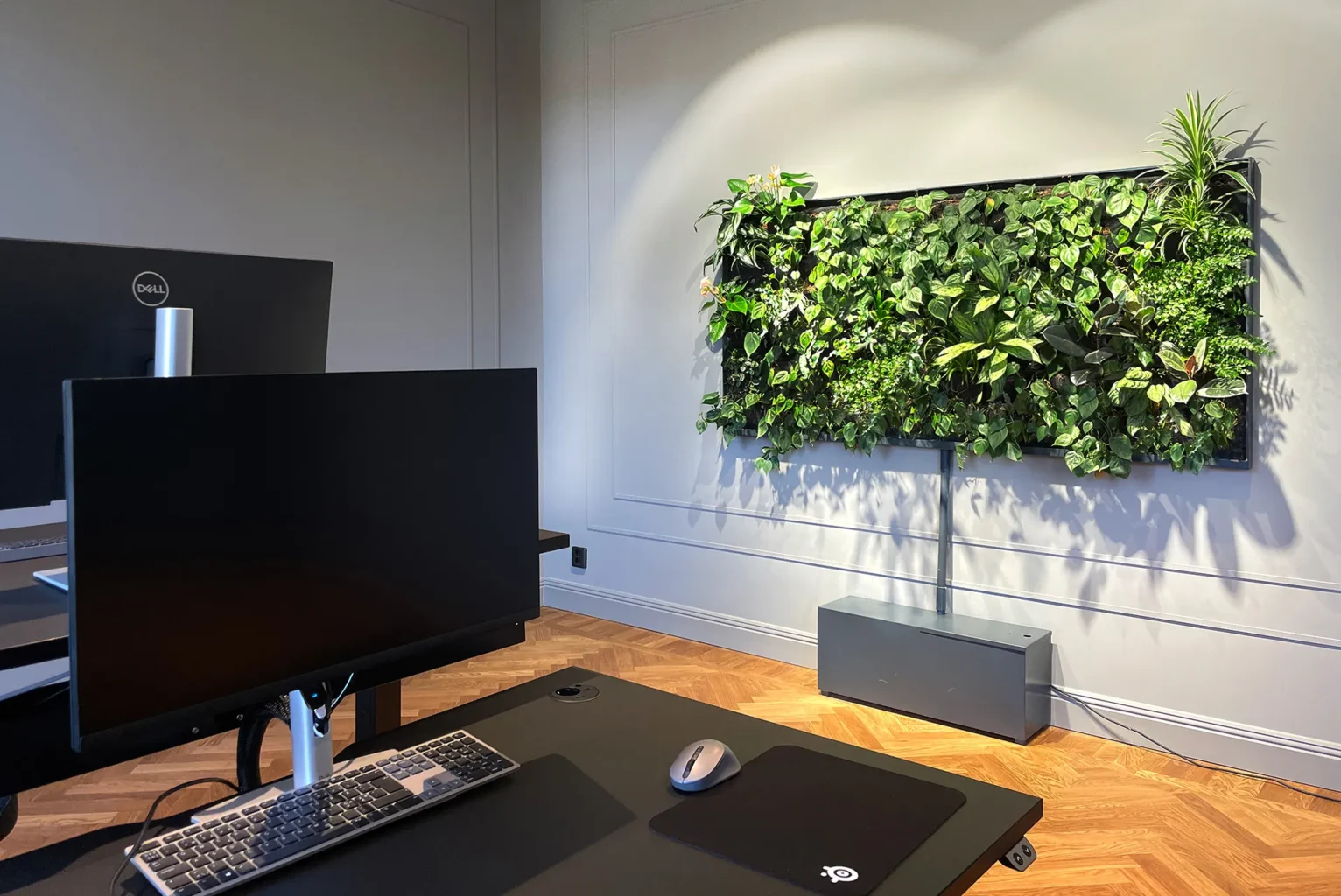 20 Best Plants Living Room That Thrive Indoors 20 image 633