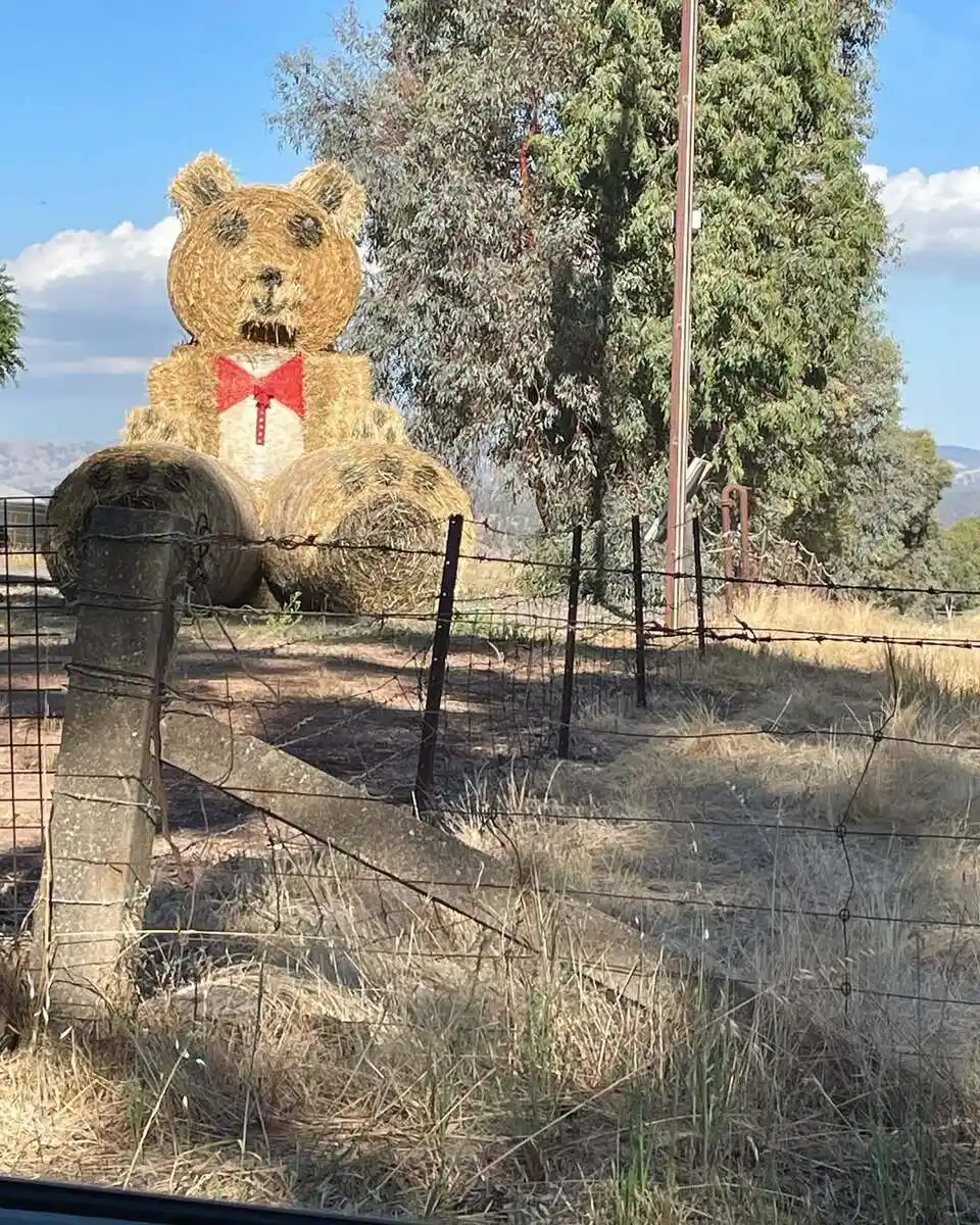 20 Farmhouse Christmas Decor Front Yard Ideas You’ll Love 4 image 769