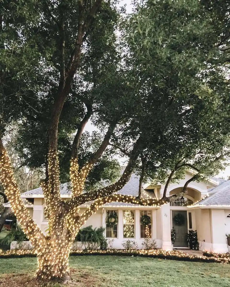 20 Farmhouse Christmas Decor Front Yard Ideas You’ll Love 11 image 776