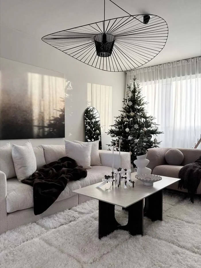 23 Chic Black And White Living Room Decor Simple Ideas 11 image 9