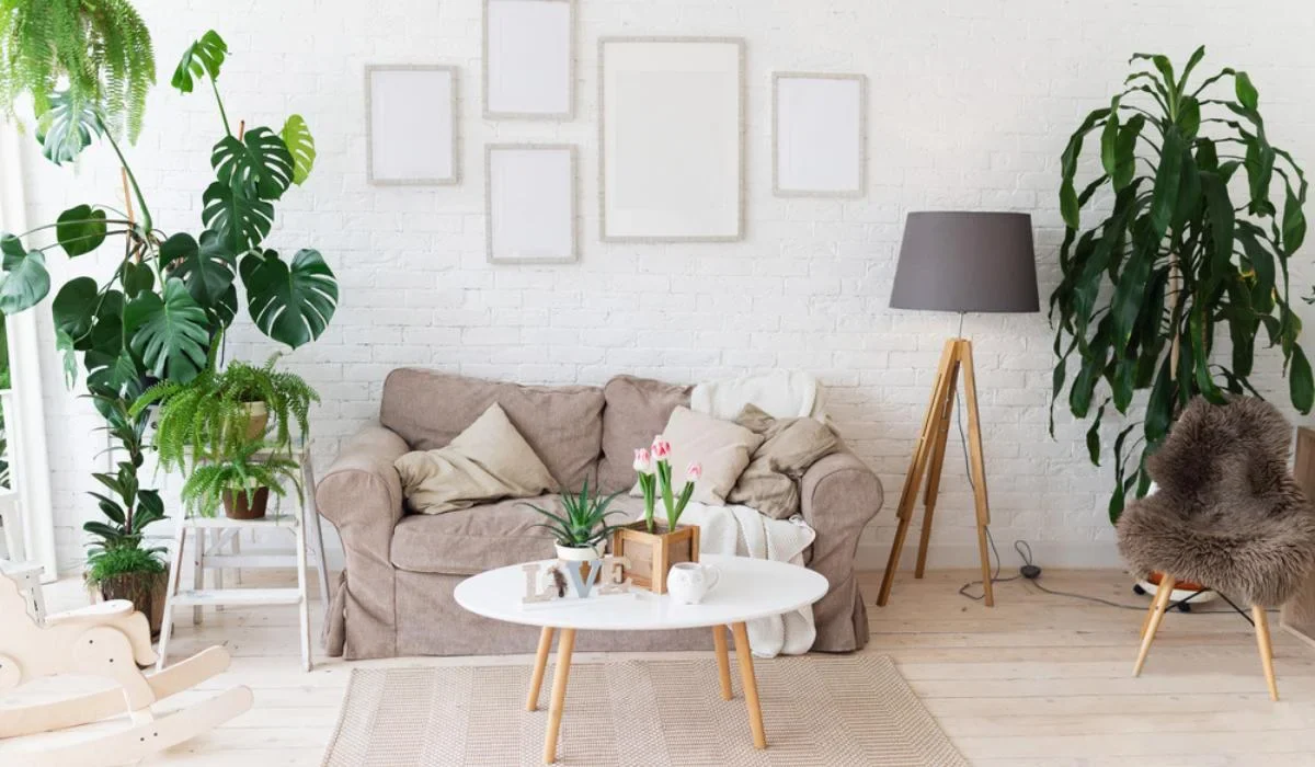20 Best Plants Living Room That Thrive Indoors 13 image 68