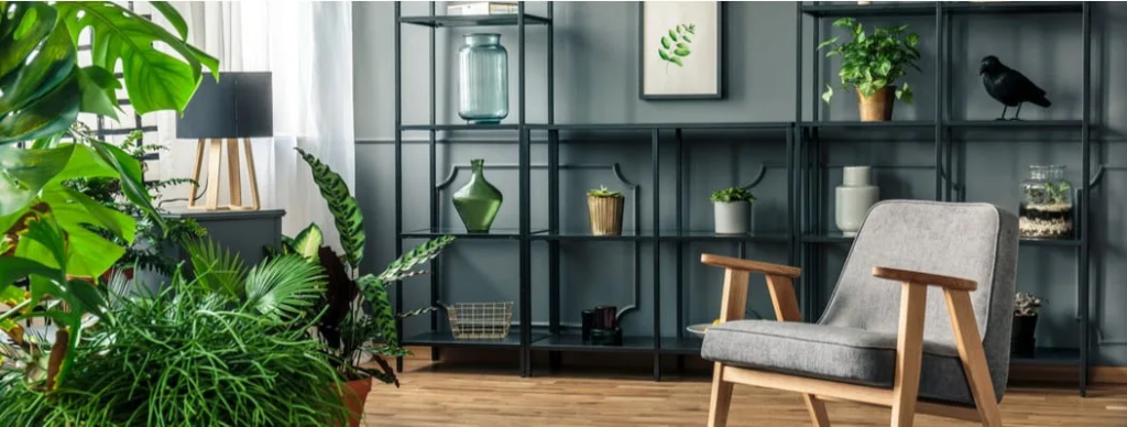 20 Best Plants Living Room That Thrive Indoors 14 image 69
