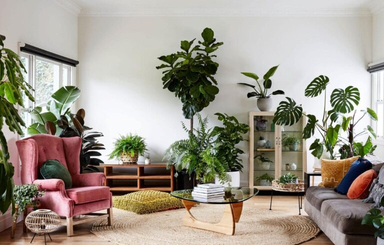 20 Best Plants Living Room That Thrive Indoors 21 image 76