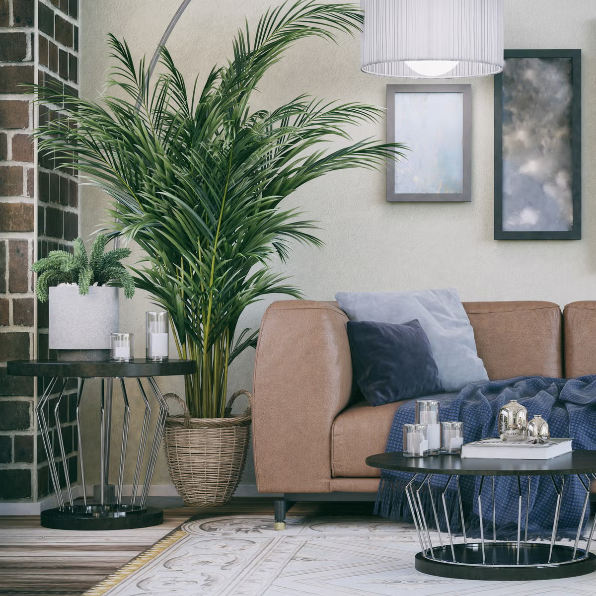 20 Best Plants Living Room That Thrive Indoors 22 image 77